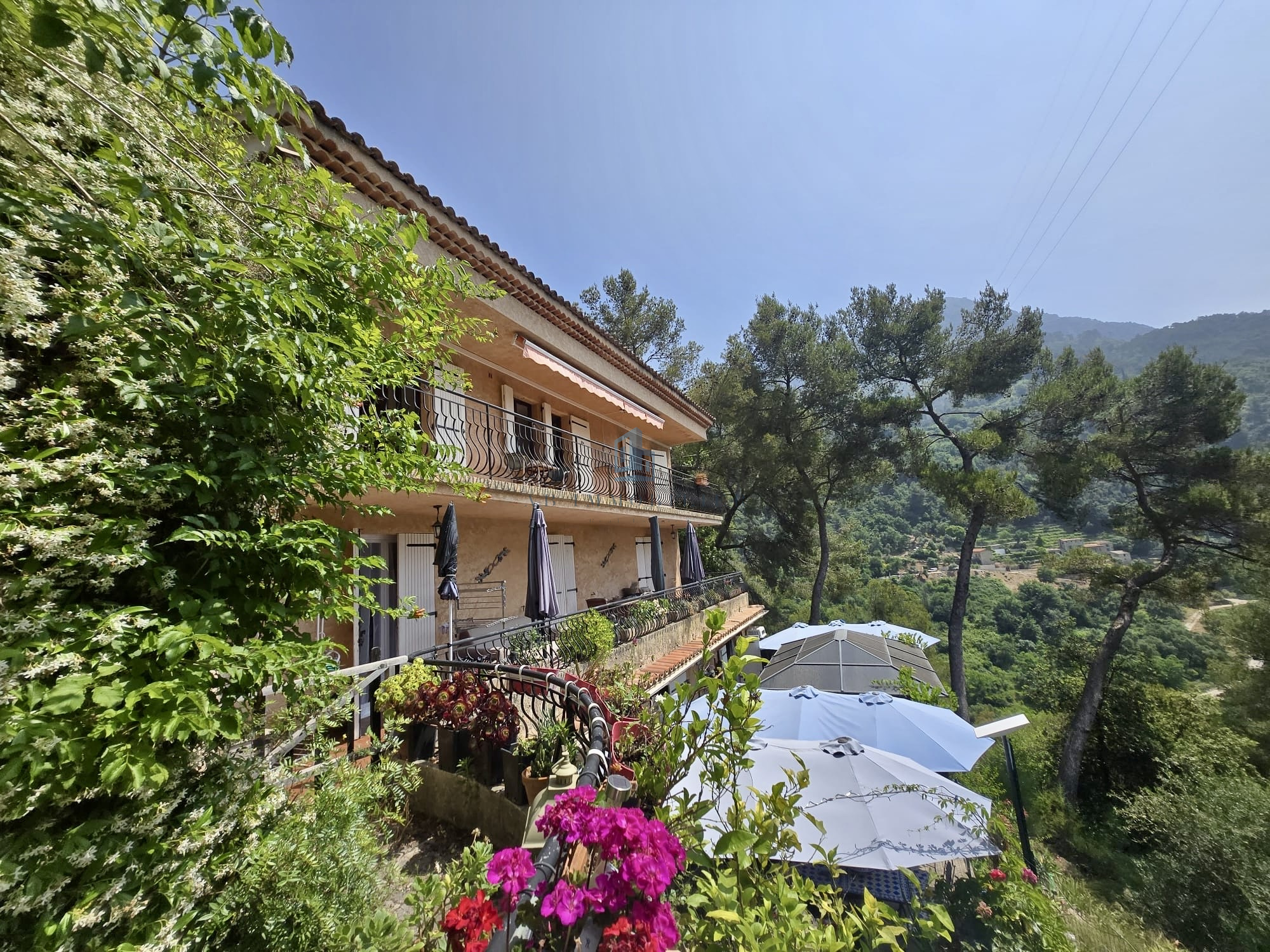 Agence immobilière de SOLE - ANZALONE Rosalie